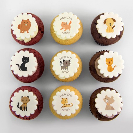 Cupcakes «chats et chiens» pour anniversaire 