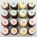 “sheeps” cupcakes for baptism, birth, baby shower or birthday